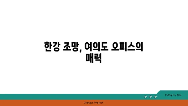 여의도 오피스의 전망 특징 및 분포