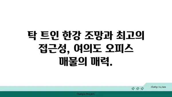 여의도 오피스 매물: 비전을 현실로 전환하는 완벽한 위치
