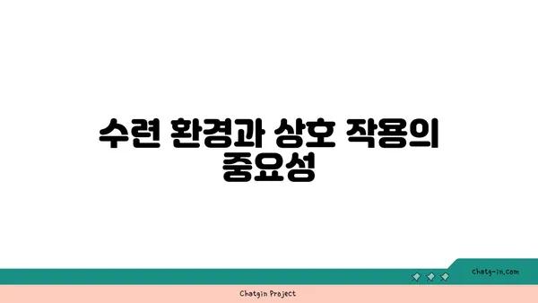 아쉬탕가 요가의 마이소르 스타일 수련법