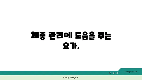 요가로 인한 신체의 긍정적 변화