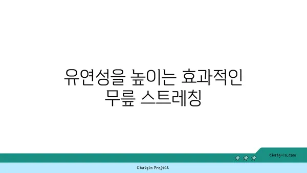 무릎 건강을 위한 요가 스트레칭 추천