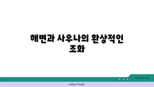 해변과 결합된 해운대 사우나의 매력