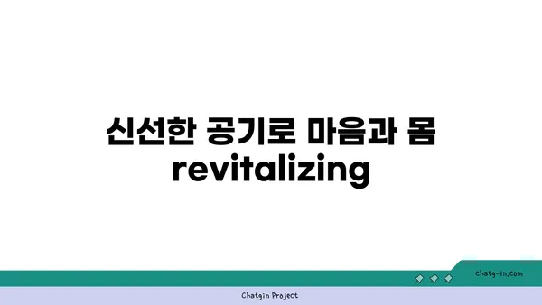 자연 속에서 진행하는 야외 요가의 장점