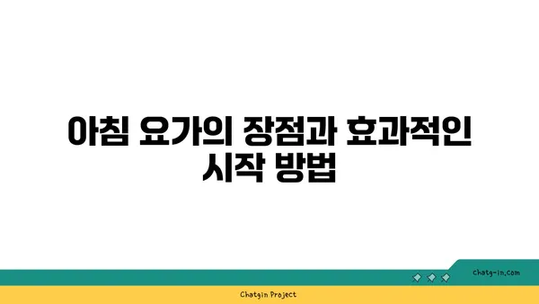요가 수련에 가장 효과적인 시간대 선택하기
