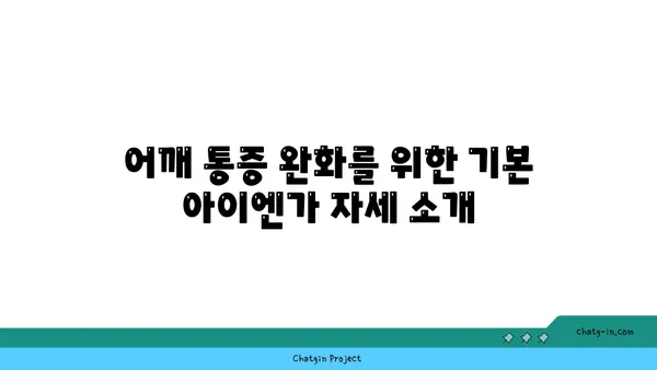 어깨 통증 완화를 위한 아이엔가 요가 루틴