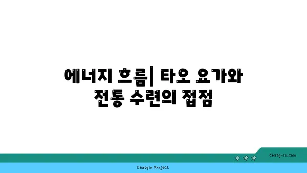 타오 요가와 중국 전통 수련의 조화