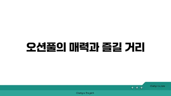 부산 해운대 파라다이스호텔 부산: 오션풀+씨메르 후기와 차량 주차