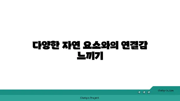 자연 속에서 진행하는 야외 요가의 장점