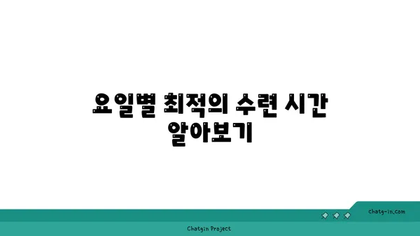 요가 수련에 가장 효과적인 시간대 선택하기