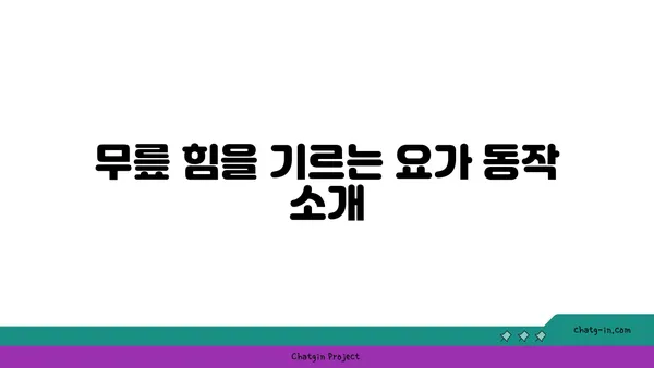 무릎 건강을 위한 요가 스트레칭 추천
