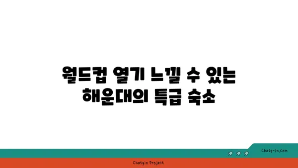 해운대에서 월드컵 응원 열기 뜨거운 호텔