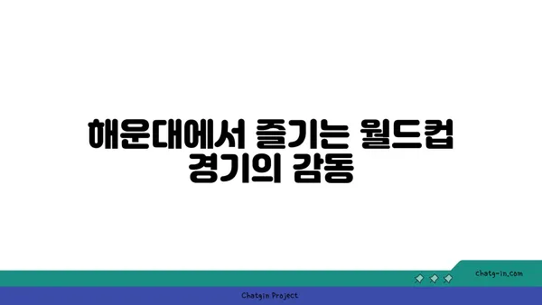 해운대 월드컵 방송 호텔에서 축구 열기 만끽하기