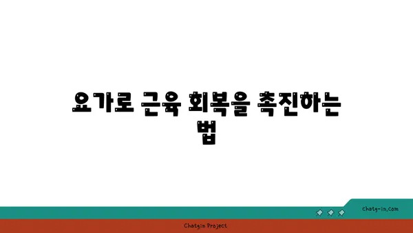 30대 남성의 근육 유지를 위한 요가