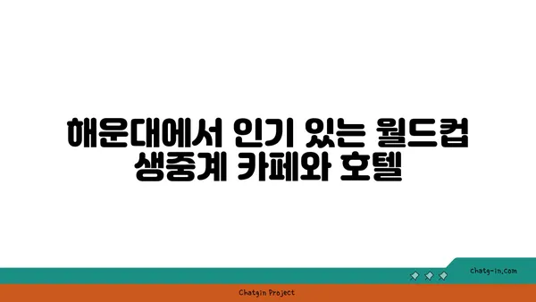 해운대에서 월드컵 경기 생중계 보는 최고의 숙소