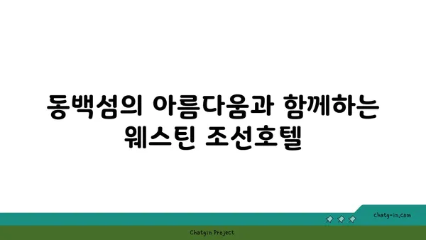 해운대 웨스틴 조선호텔: 동백섬 인근에 위치한 수영장과 휴가휴식에 최적의 숙소
