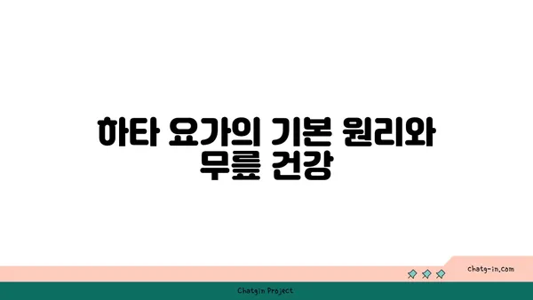 무릎 관절 보호를 위한 하타 요가 스트레칭