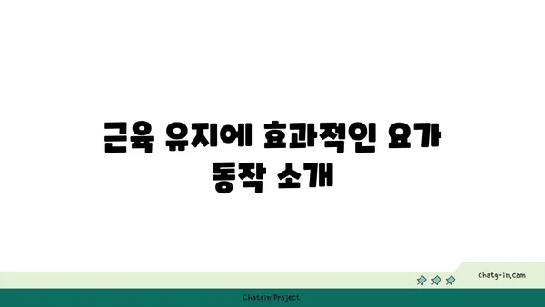 30대 남성의 근육 유지를 위한 요가