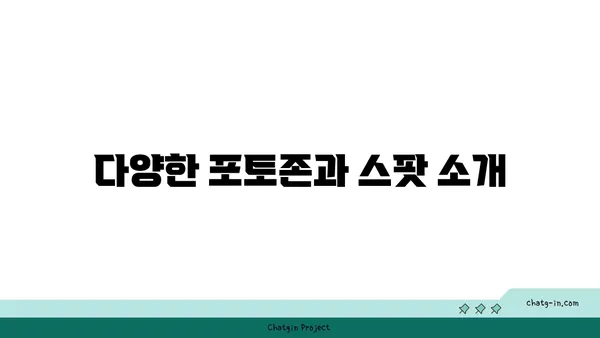 해운대의 인생샷 찍는 법! 오션뷰 숙소 3곳 추천과 그 비결