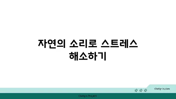 자연 속에서 진행하는 야외 요가의 장점