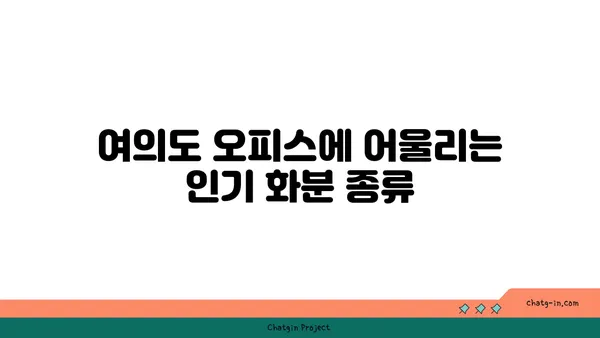 여의도 오피스 공간에 자연스러운 터치를 더하는 화분