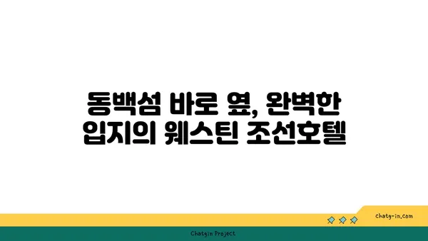 부산 해운대에서 도보 1분 거리의 동백섬 옆에 위치한 호캉스 최적지: 웨스틴 조선호텔