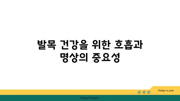 발목 건강을 위한 빈야사 요가 명상법