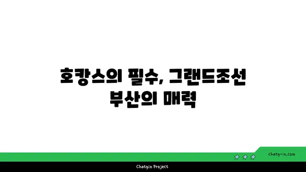 그랜드조선부산의 호화로운 해운대 호캉스를 수영장과 아리아 조식으로 마무리하세요