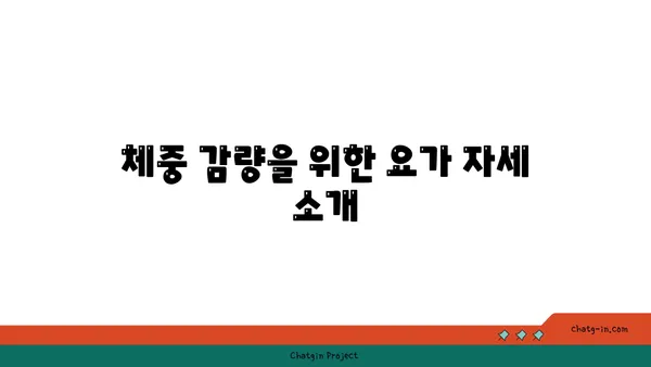 요가로 체중 감량하는 효과적인 방법