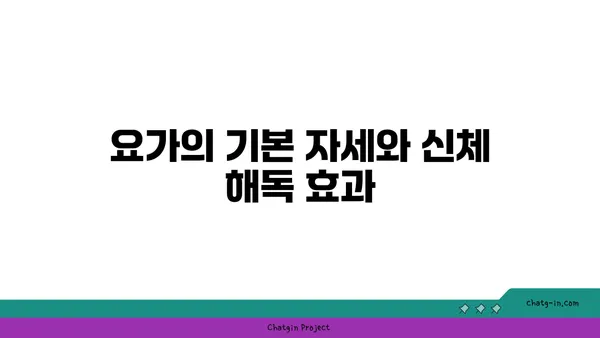 요가를 통한 신체 해독