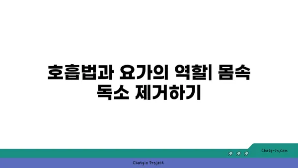 요가를 통한 신체 해독