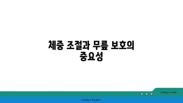 무릎 보호를 위한 빈야사 요가 스트레칭