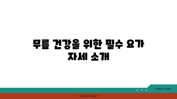 무릎 건강을 위한 요가 수련법 가이드