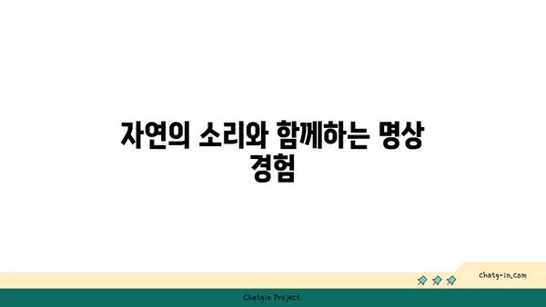 요가와 자연의 조화: 야외 수련의 장점