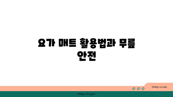 무릎 보호를 위한 아이엔가 요가 도구 활용법