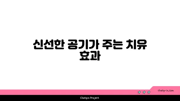 요가와 자연의 조화: 야외 수련의 장점