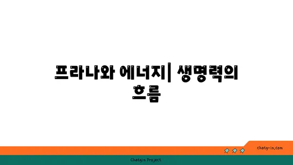 요가 수업에서 자주 사용하는 용어 해설