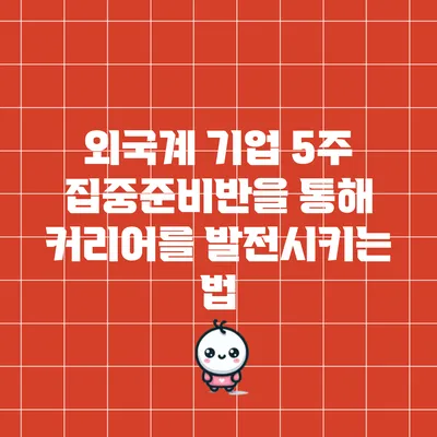 외국계 기업 5주 집중준비반을 통해 커리어를 발전시키는 법