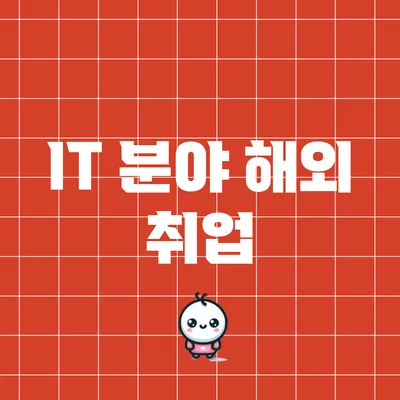 IT 분야 해외 취업