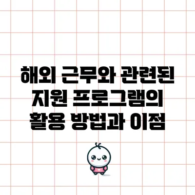 해외 근무와 관련된 지원 프로그램의 활용 방법과 이점