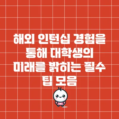 해외 인턴십 경험을 통해 대학생의 미래를 밝히는 필수 팁 모음