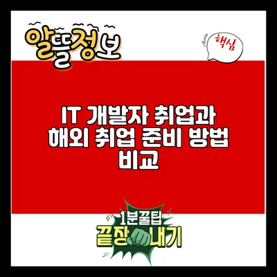 IT 개발자 취업과 해외 취업 준비 방법 비교