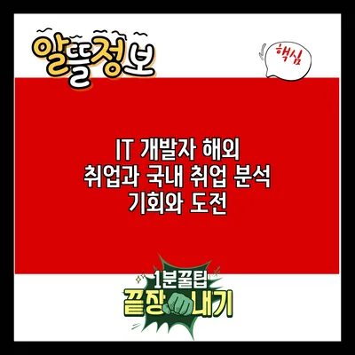 IT 개발자 해외 취업과 국내 취업 분석: 기회와 도전