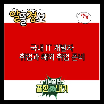 국내 IT 개발자 취업과 해외 취업 준비