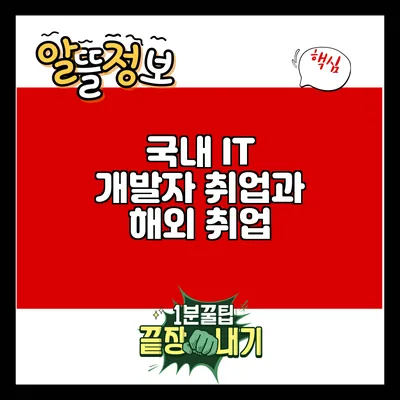 국내 IT 개발자 취업과 해외 취업