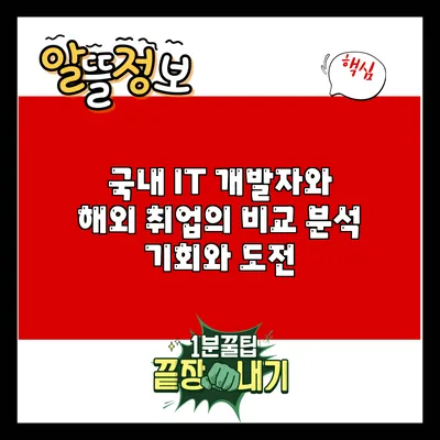 국내 IT 개발자와 해외 취업의 비교 분석: 기회와 도전