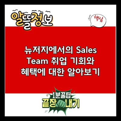 뉴저지에서의 Sales Team 취업 기회와 혜택에 대한 알아보기