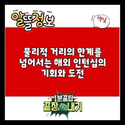물리적 거리의 한계를 넘어서는 해외 인턴십의 기회와 도전