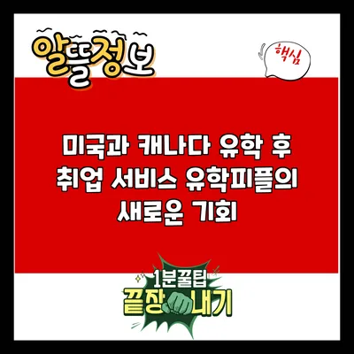 미국과 캐나다 유학 후 취업 서비스: 유학피플의 새로운 기회