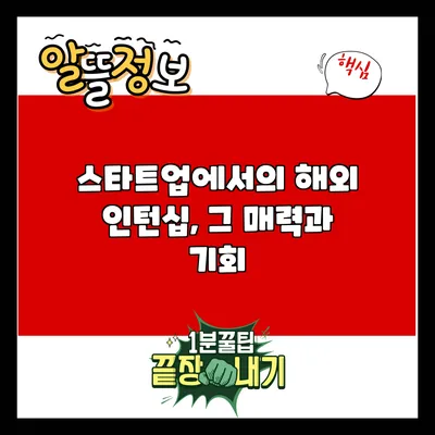 스타트업에서의 해외 인턴십, 그 매력과 기회