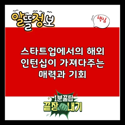 스타트업에서의 해외 인턴십이 가져다주는 매력과 기회